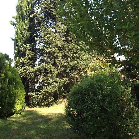 Il Belvedere Di Roccavo Villa Кастилион Фиорентино Екстериор снимка