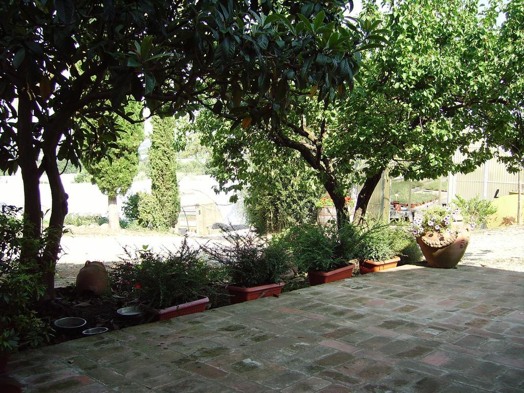 Il Belvedere Di Roccavo Villa Кастилион Фиорентино Екстериор снимка