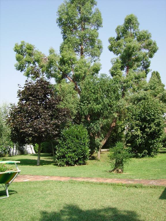 Il Belvedere Di Roccavo Villa Кастилион Фиорентино Екстериор снимка