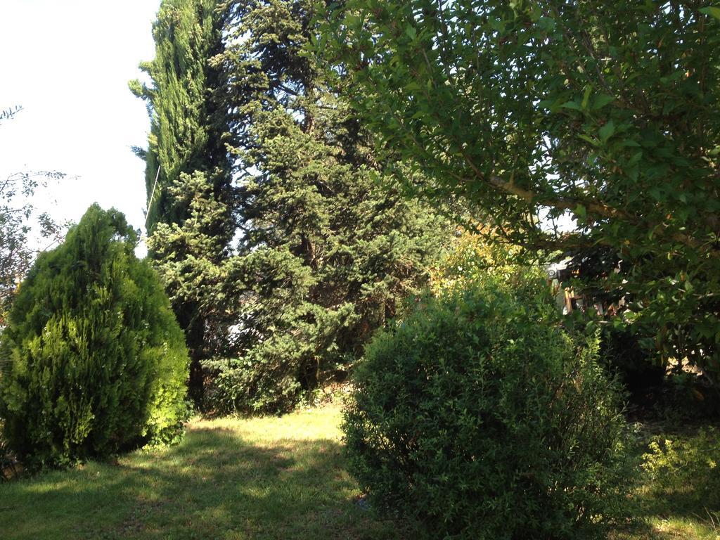 Il Belvedere Di Roccavo Villa Кастилион Фиорентино Екстериор снимка